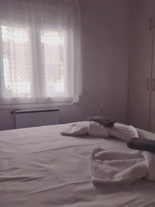 Snowbird-Late Check-Out Apartment Ierapetra  Ngoại thất bức ảnh